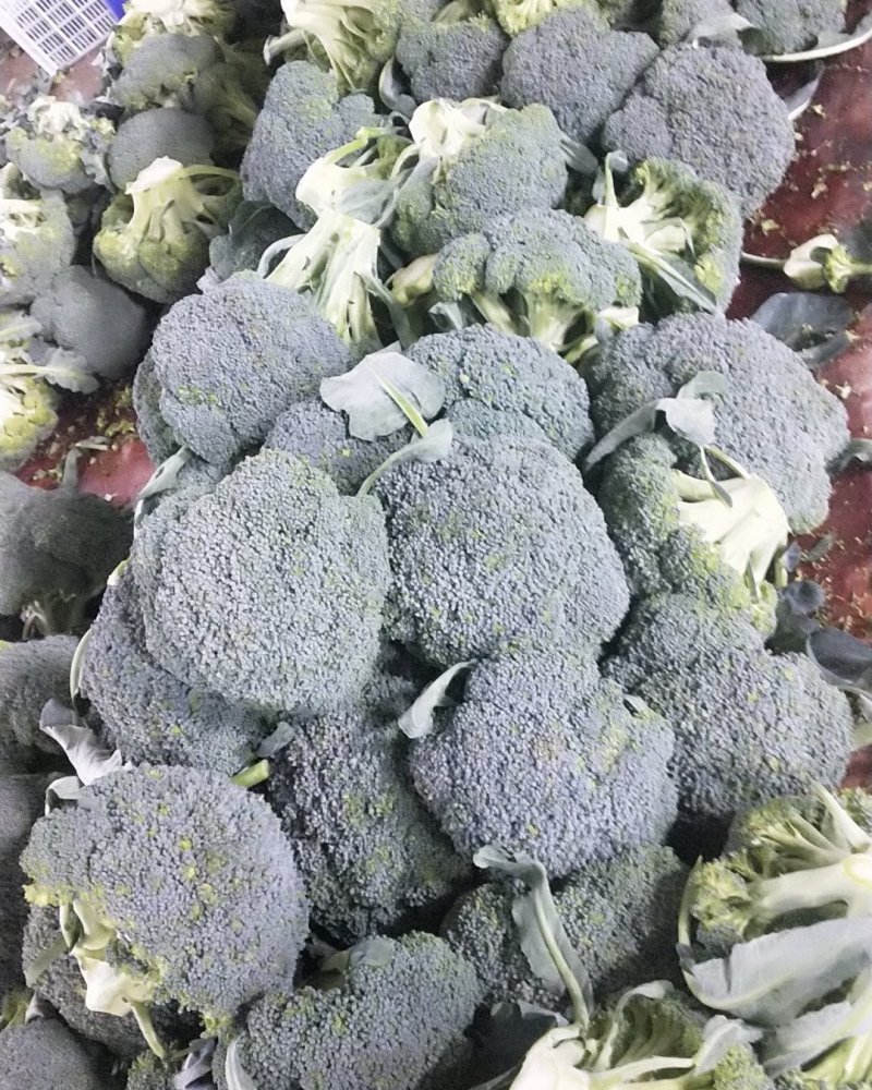 冷库出货西兰花阳光绿雄全国可以发货质量保证品种齐全