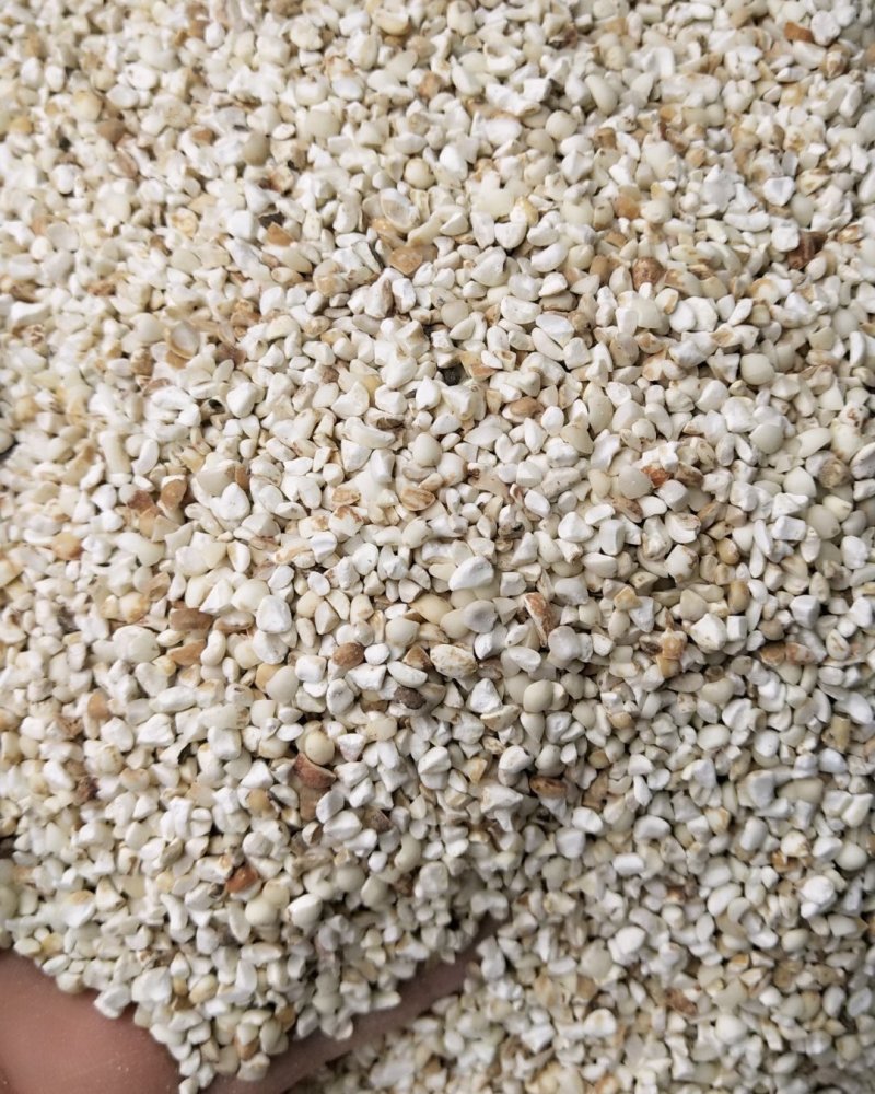 薏米仁碎颗粒新货产地货源整件批发承接大货量大从优