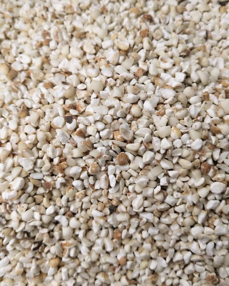 薏米仁碎颗粒新货产地货源整件批发承接大货量大从优