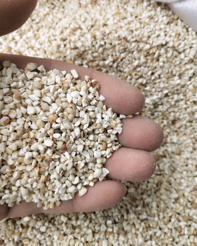 薏米仁碎颗粒新货产地货源整件批发承接大货量大从优