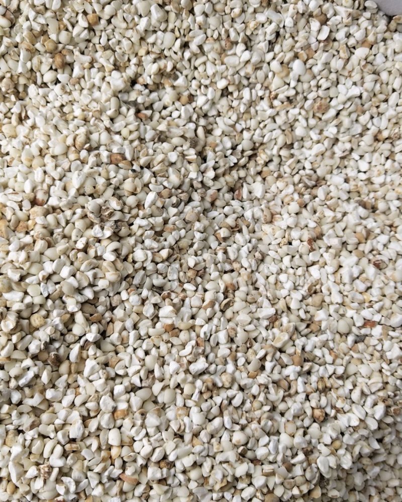 薏米仁碎颗粒新货产地货源整件批发承接大货量大从优