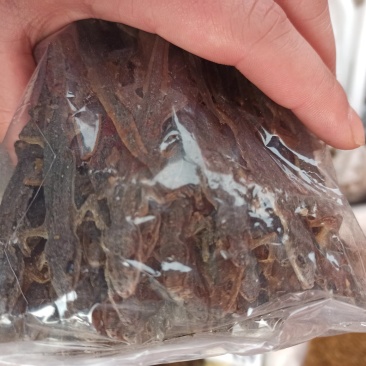 壁虎正品保证可打粉各种规格各种中药批发