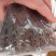 壁虎正品保证可打粉各种规格各种中药批发
