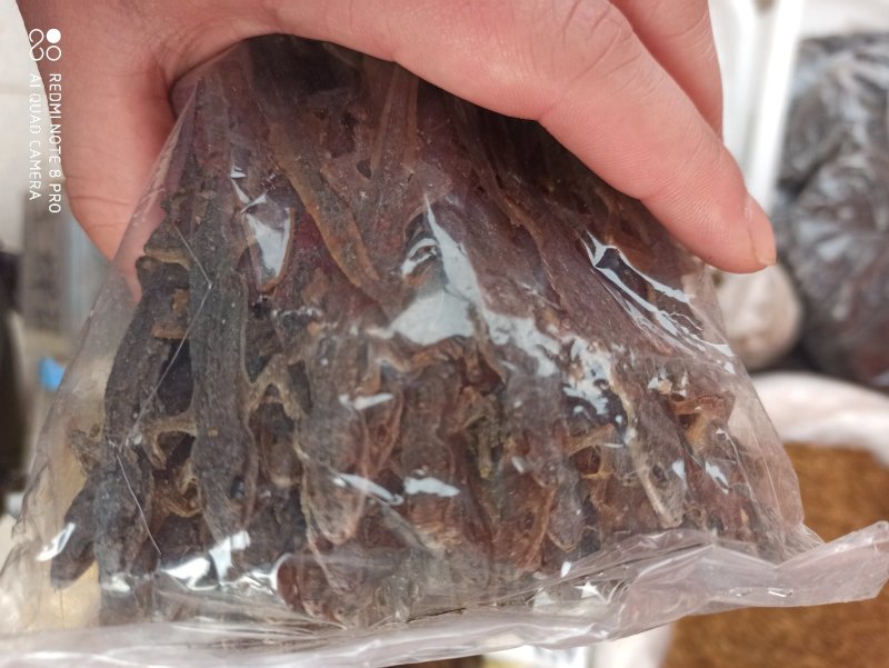 壁虎正品保证可打粉各种规格各种中药批发