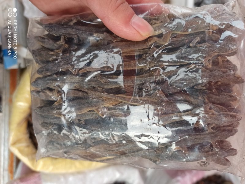 壁虎正品保证可打粉各种规格各种中药批发