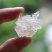 精选特级缅甸雪燕最好最高品质全拉丝雪燕干净无杂质