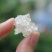 精选特级缅甸雪燕最好最高品质全拉丝雪燕干净无杂质