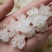 精选特级缅甸雪燕最好最高品质全拉丝雪燕干净无杂质