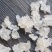 精选特级缅甸雪燕最好最高品质全拉丝雪燕干净无杂质