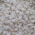 精选特级缅甸雪燕最好最高品质全拉丝雪燕干净无杂质