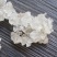 精选特级缅甸雪燕最好最高品质全拉丝雪燕干净无杂质