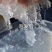 缅甸精品拉丝雪燕泡发后颜色白净口感丝滑性价比非常高