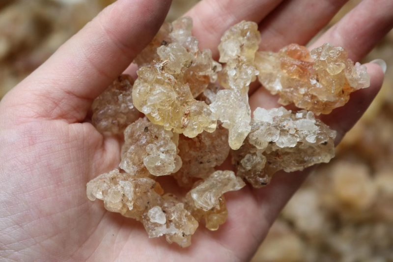 缅甸精品拉丝雪燕泡发后颜色白净口感丝滑性价比非常高