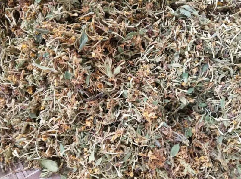 金银花批发，跑量农户生晒无硫磺
