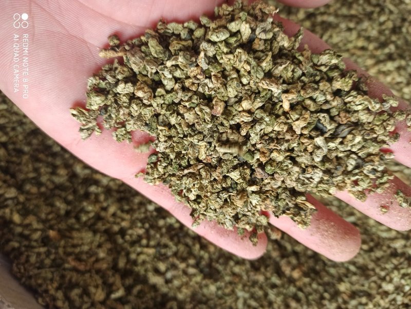 荷叶荷叶茶精品各种规格精品花茶批发