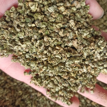 荷叶荷叶茶精品各种规格精品花茶批发