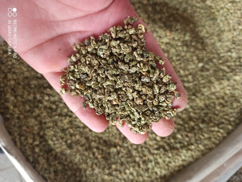 荷叶荷叶茶精品各种规格精品花茶批发