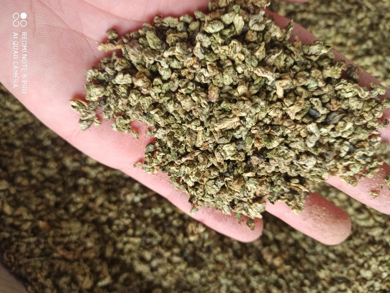荷叶荷叶茶精品各种规格精品花茶批发