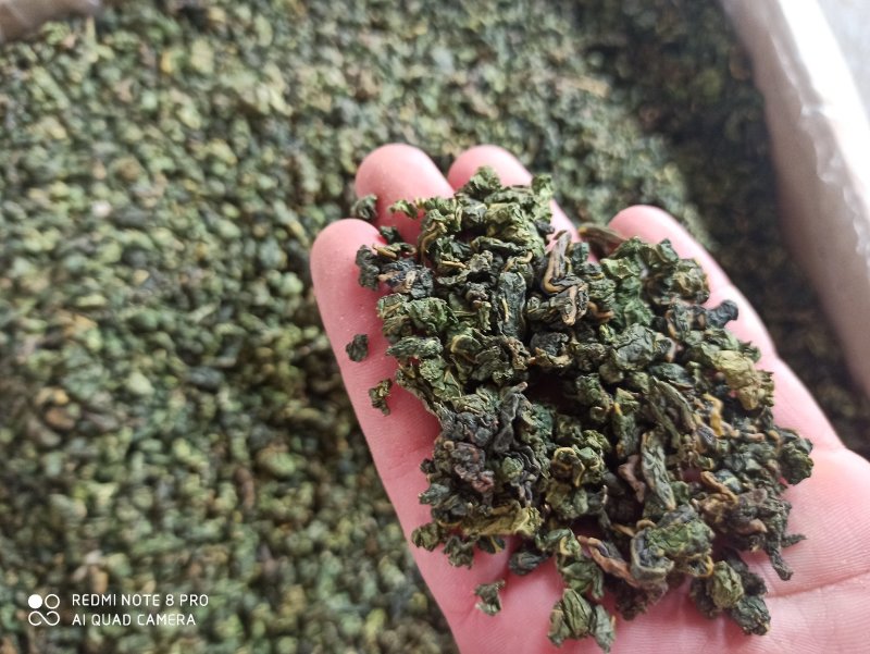 桑叶茶干茶桑叶桑叶批发可打粉新品专业一手货源绿桑叶