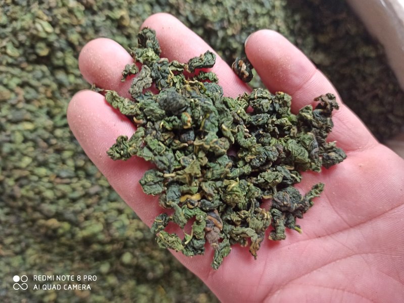 桑叶茶干茶桑叶桑叶批发可打粉新品专业一手货源绿桑叶