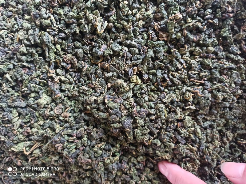 桑叶茶干茶桑叶桑叶批发可打粉新品专业一手货源绿桑叶