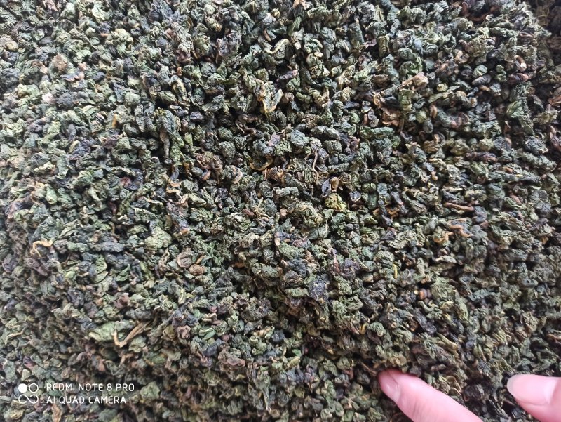 桑叶茶干茶桑叶桑叶批发可打粉新品专业一手货源绿桑叶