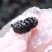精选新疆桑葚干非种植头茬干净无沙果肉紧实饱满厚实