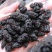 精选新疆桑葚干非种植头茬干净无沙果肉紧实饱满厚实