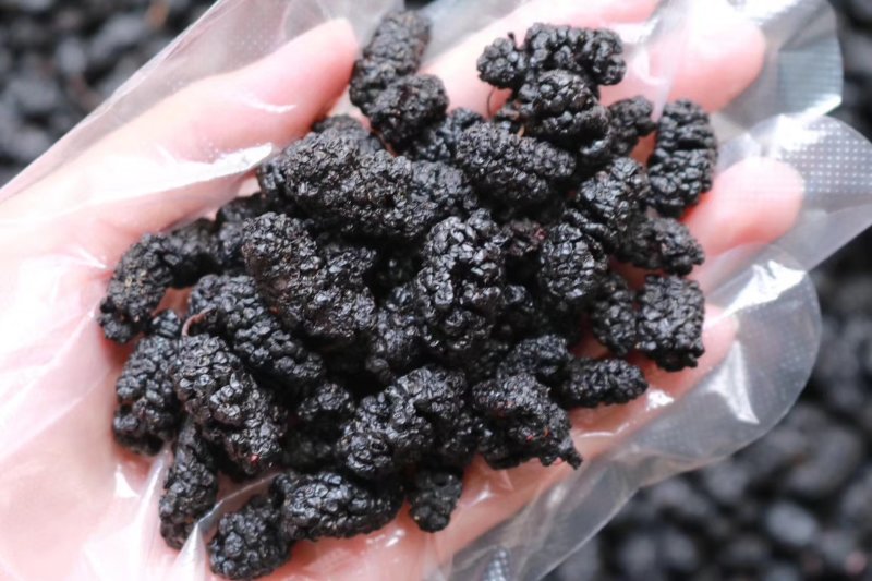 精选新疆桑葚干非种植头茬干净无沙果肉紧实饱满厚实
