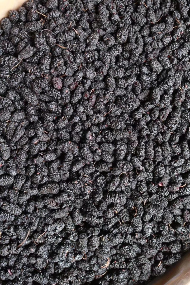 精选新疆桑葚干非种植头茬干净无沙果肉紧实饱满厚实