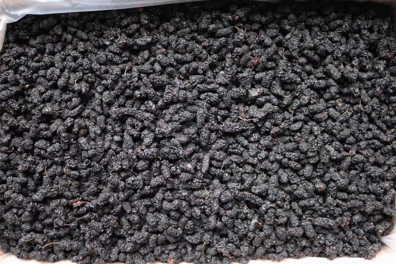 精选新疆桑葚干非种植头茬干净无沙果肉紧实饱满厚实