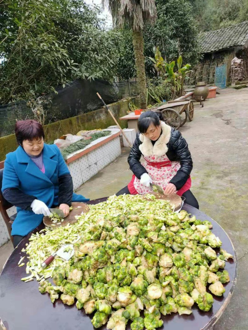 自产榨菜