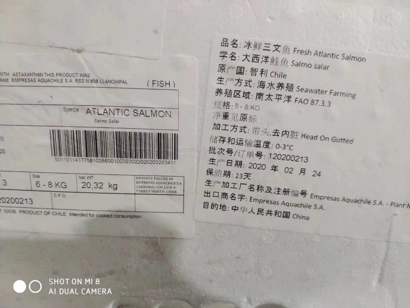 挪威进口三文鱼一手货源