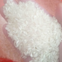 饭堂米