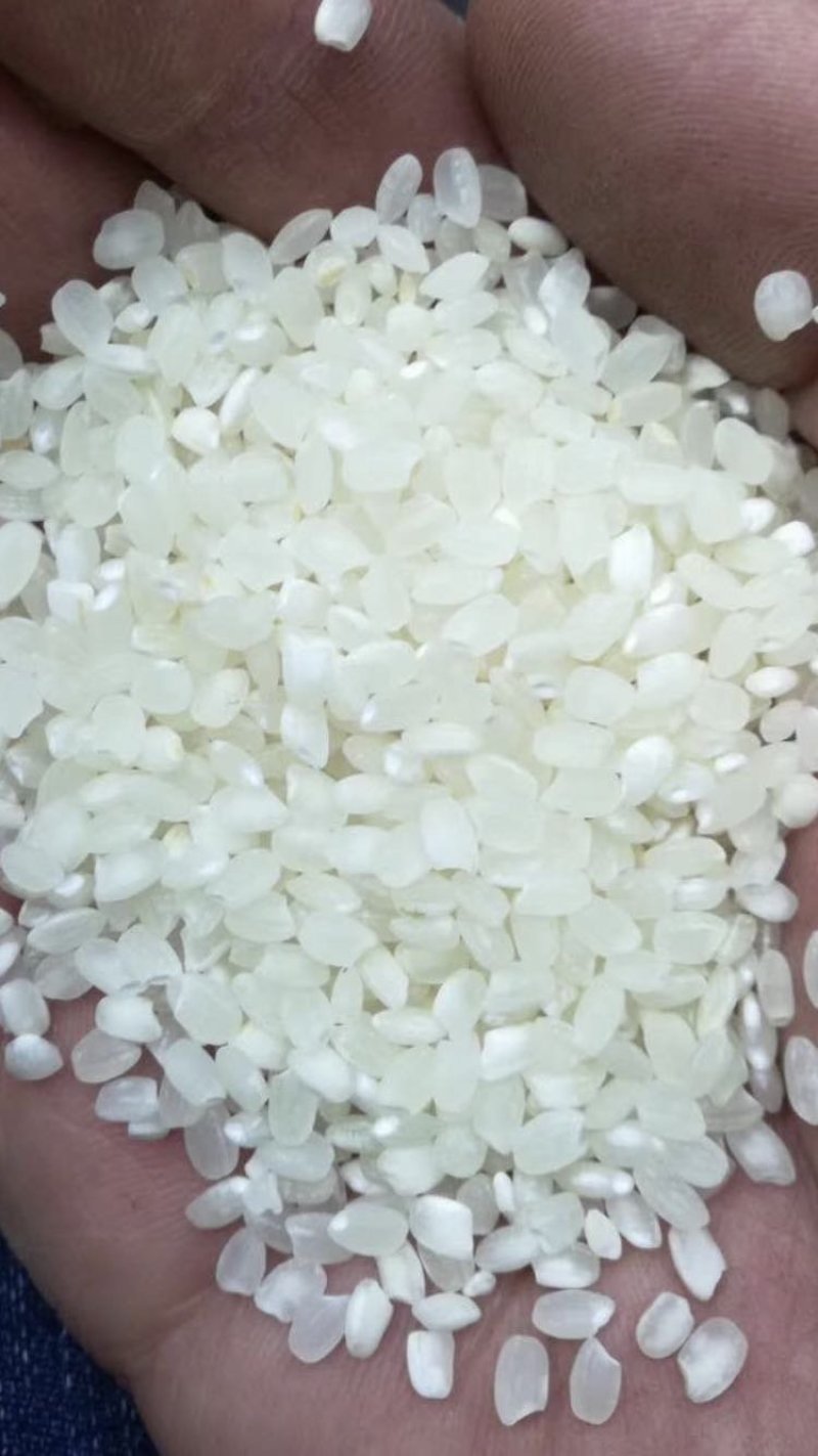 东北珍珠米