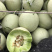 晓蜜25东方蜜玉菇红金蜜