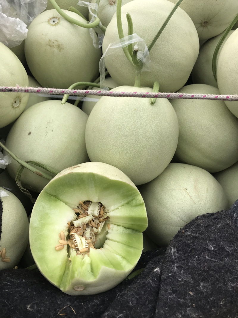 晓蜜25东方蜜玉菇红金蜜
