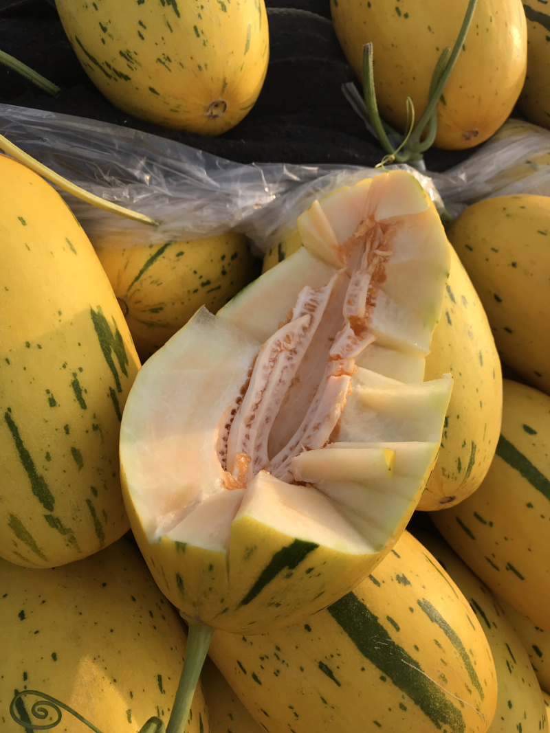 晓蜜25东方蜜玉菇红金蜜