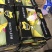 晓蜜25东方蜜玉菇红金蜜