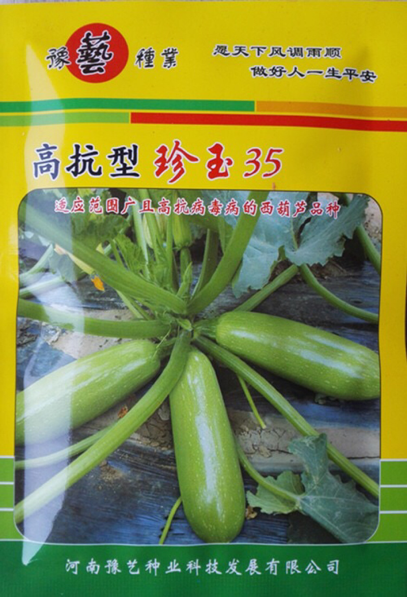 豫艺珍玉35西葫芦油绿型耐热高抗病毒病25g