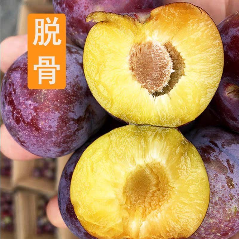 李子树苗嫁接脱骨李子苗新品种皮薄脆产量高