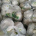 现货宜昌松花菜湖北当阳菜花散花菜2-3斤