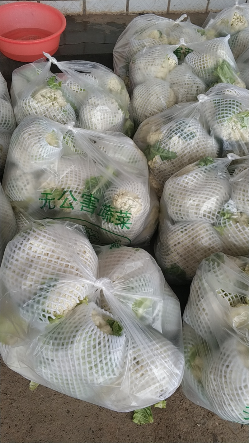 现货宜昌松花菜湖北当阳菜花散花菜2-3斤
