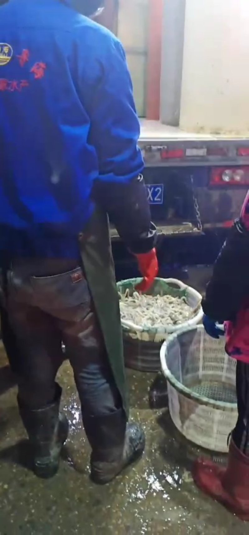 南美白高温棚养殖虾