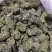 纯正菜籽饼看看颜色就知道有多好