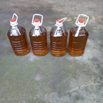 纯菜籽油