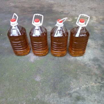 纯菜籽油