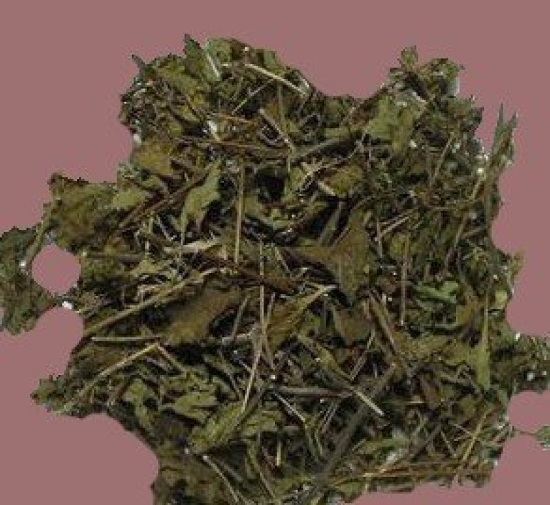冬凌草，常年批发冷背药材量大从优