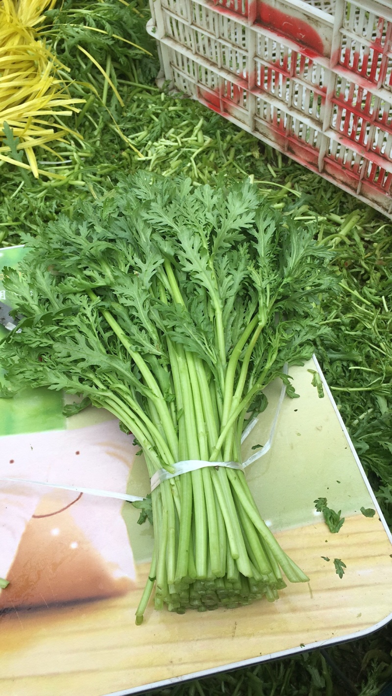 茼蒿