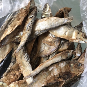 饲料鱼干海边直发价格美丽